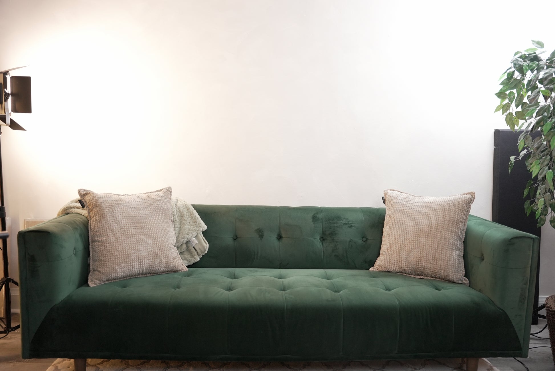A forest green velvet sofa rests against a hand-finished limewash-inspired wall 